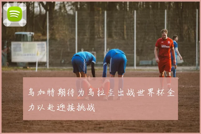 乌加特期待为乌拉圭出战世界杯全力以赴迎接挑战