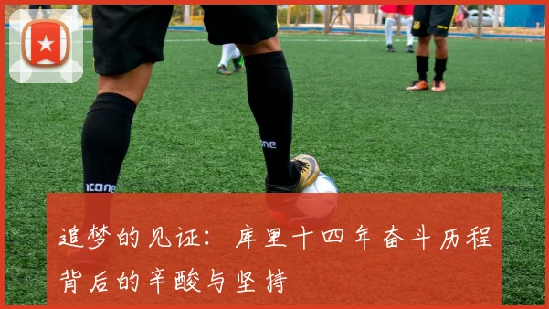 追梦的见证：库里十四年奋斗历程背后的辛酸与坚持